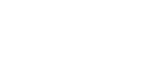玩彩网佳味LOGO 320x160-2.png